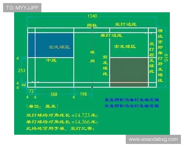 北京排球队状态深度对比分析及未来发展趋势探讨
